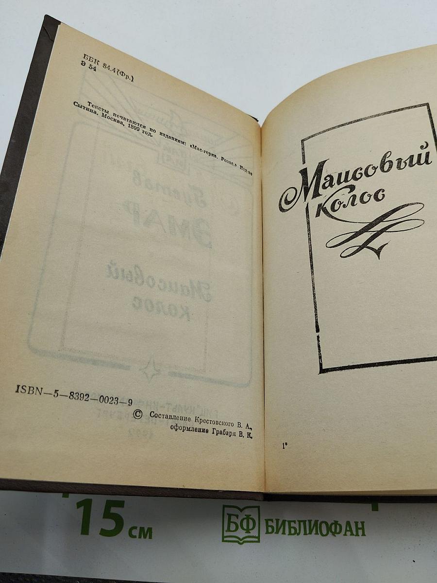 Маисовый колос, Розас