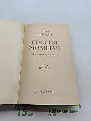 Россия молодая. Исторический роман. Книга вторая