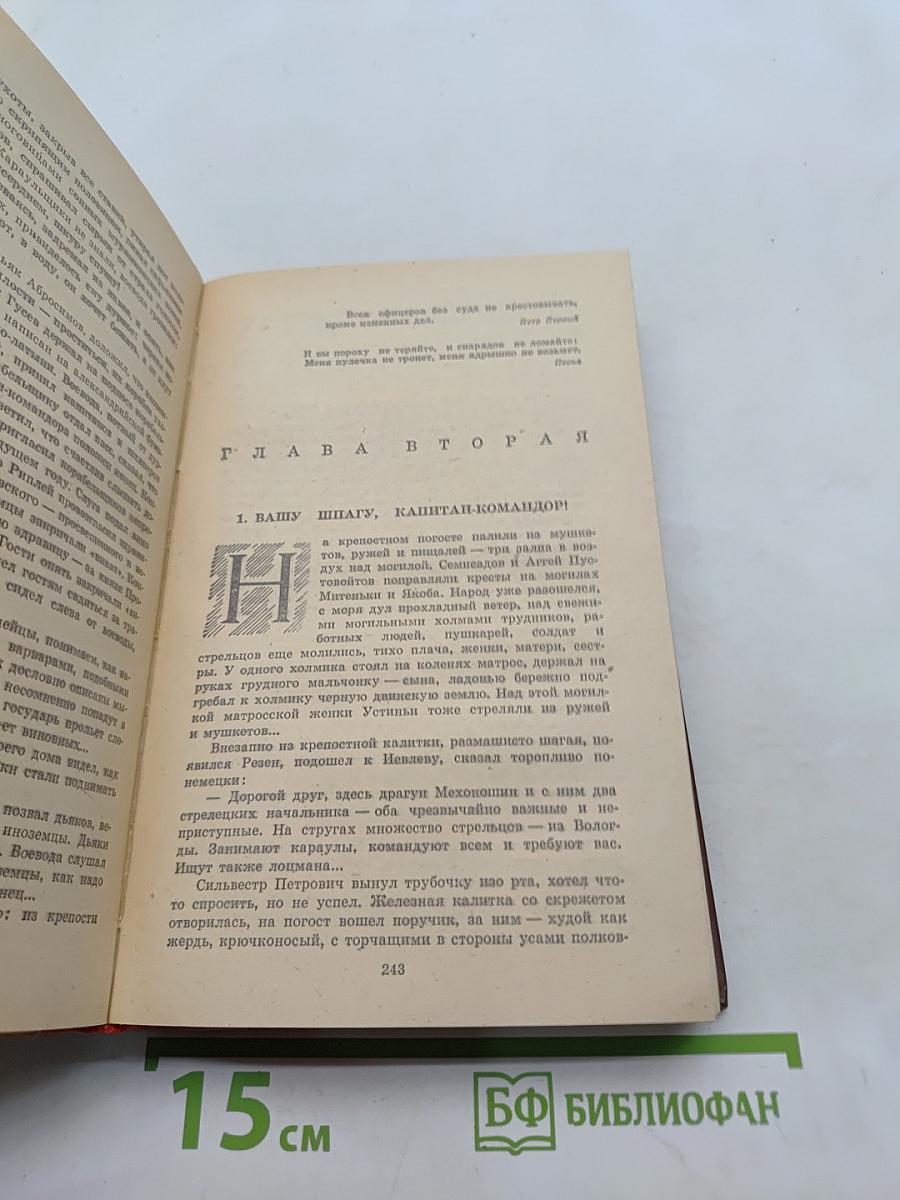 Россия молодая. Исторический роман. Книга вторая