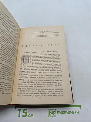Россия молодая. Исторический роман. Книга вторая