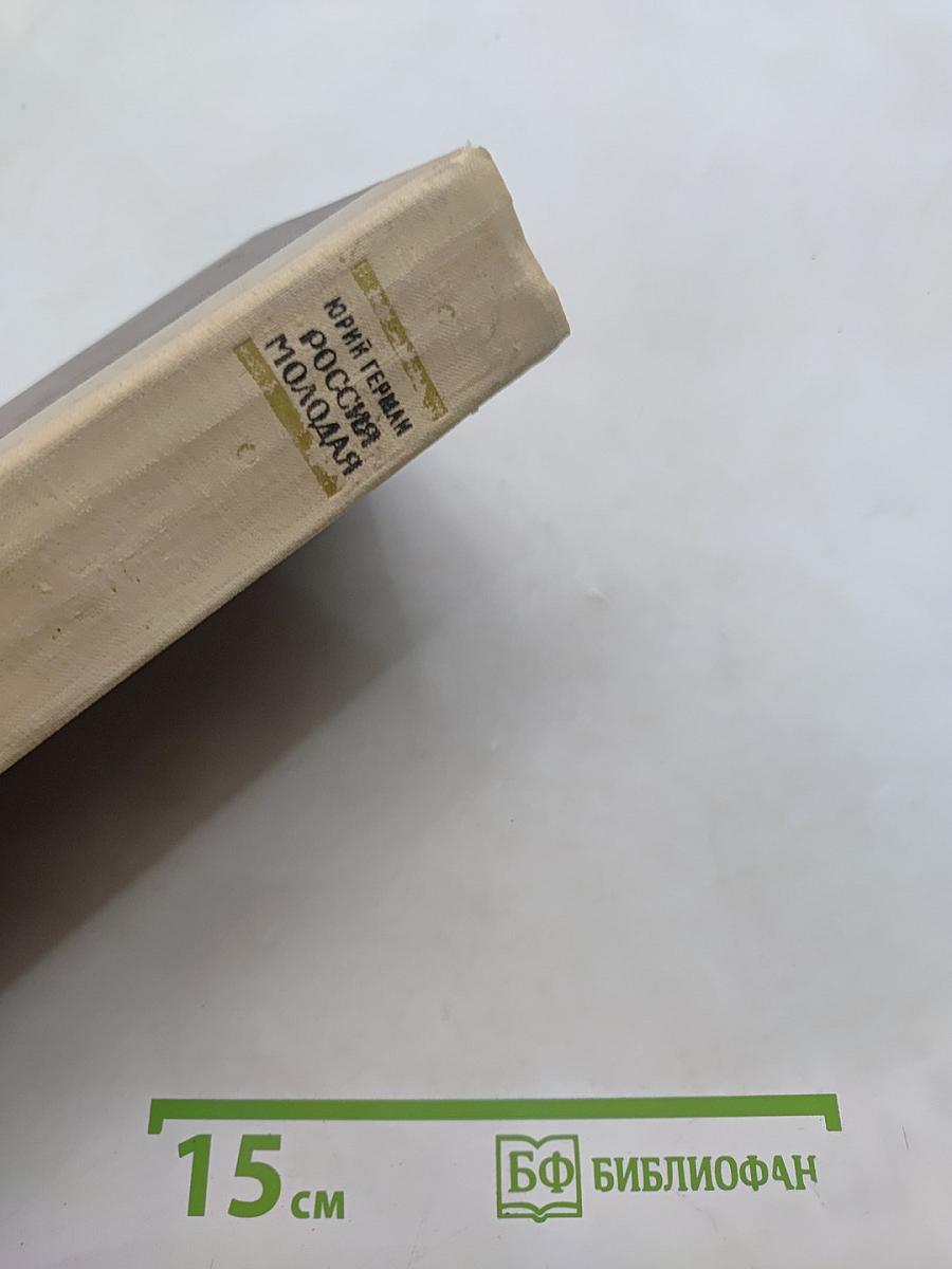Россия молодая. Исторический роман. Книга вторая