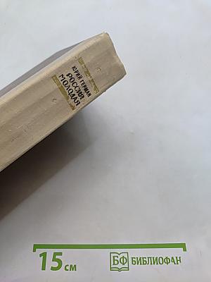 Россия молодая. Исторический роман. Книга вторая