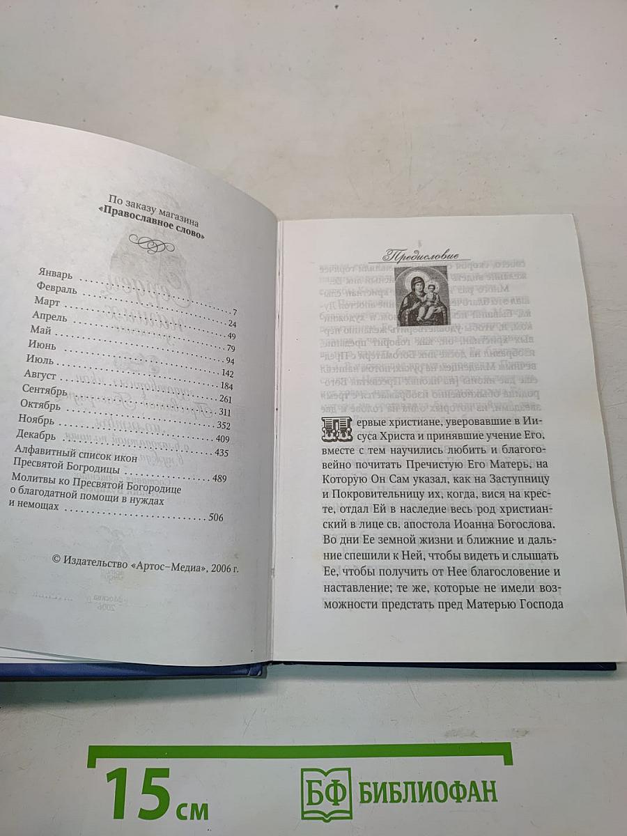 Сердце наших утешение. 320 чудотворных икон Пресвятой Богородицы. Молитвы о благодатной помощи в нуждах и немощах