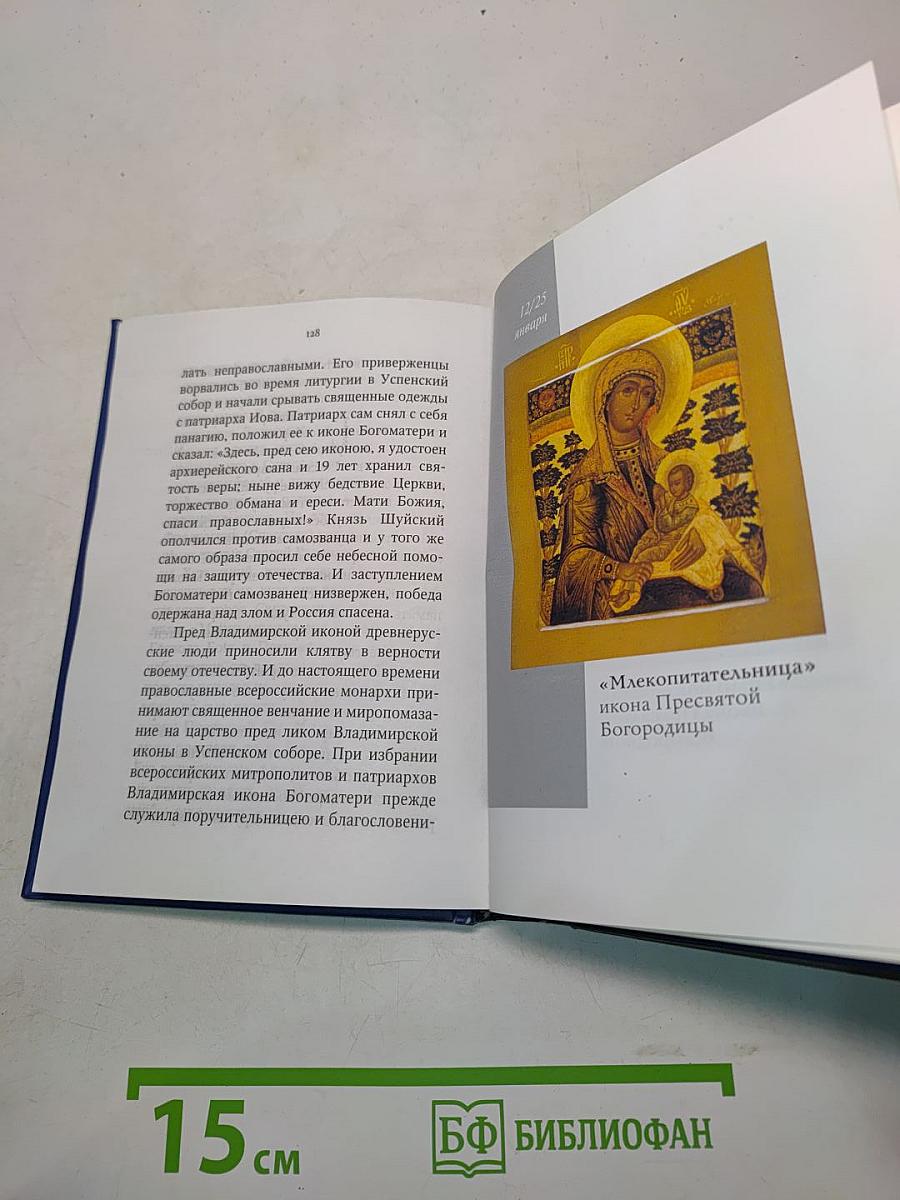 Сердце наших утешение. 320 чудотворных икон Пресвятой Богородицы. Молитвы о благодатной помощи в нуждах и немощах