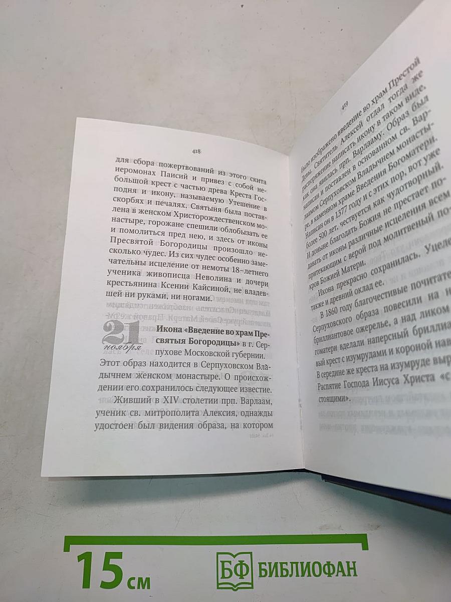 Сердце наших утешение. 320 чудотворных икон Пресвятой Богородицы. Молитвы о благодатной помощи в нуждах и немощах