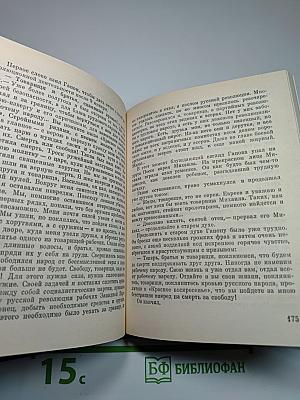 Перед штормом