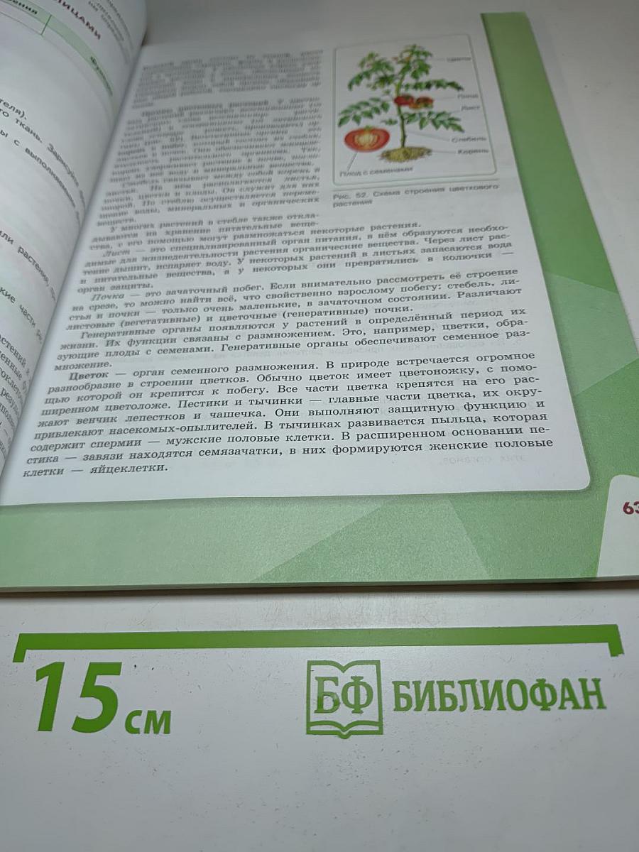 Биология 5 класс