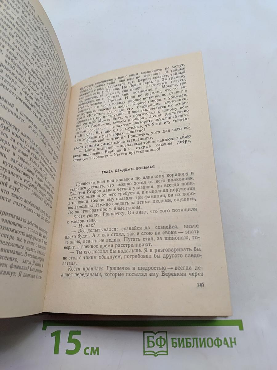 Выборгская сторона. Интервенция в Омске. Книга 2