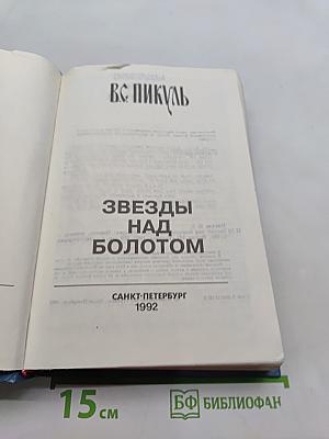 Звезды над болотом