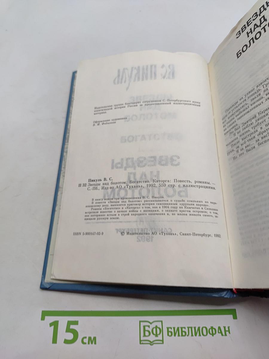 Звезды над болотом