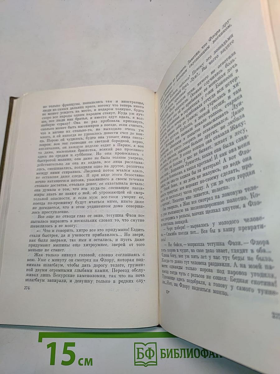 Собрание сочинений. Том тринадцатый. Ругон-Маккары. Мечта. Человек-зверь