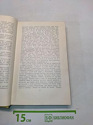 Собрание сочинений. Том шестой. Хождение по мукам. Книга третья. Хлеб