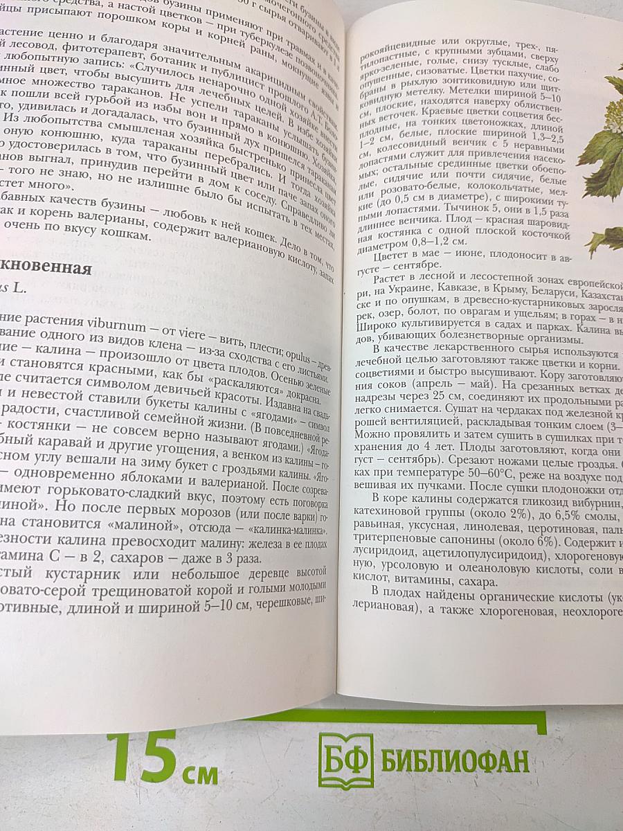 Лекарственные растения