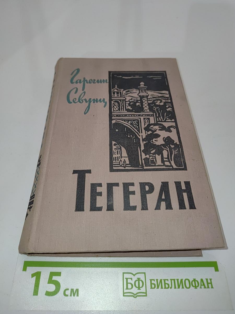 Тегеран. Книга первая. Иранская ночь