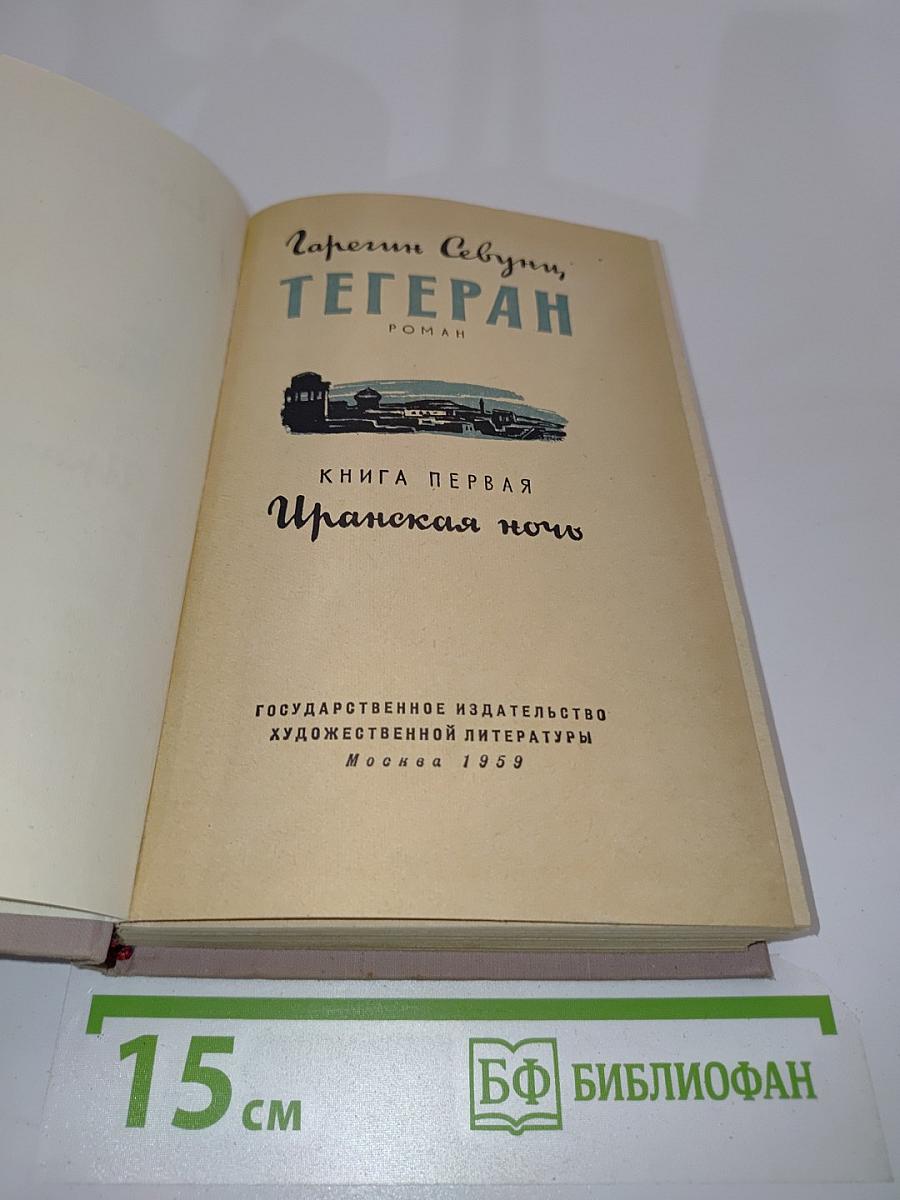 Тегеран. Книга первая. Иранская ночь