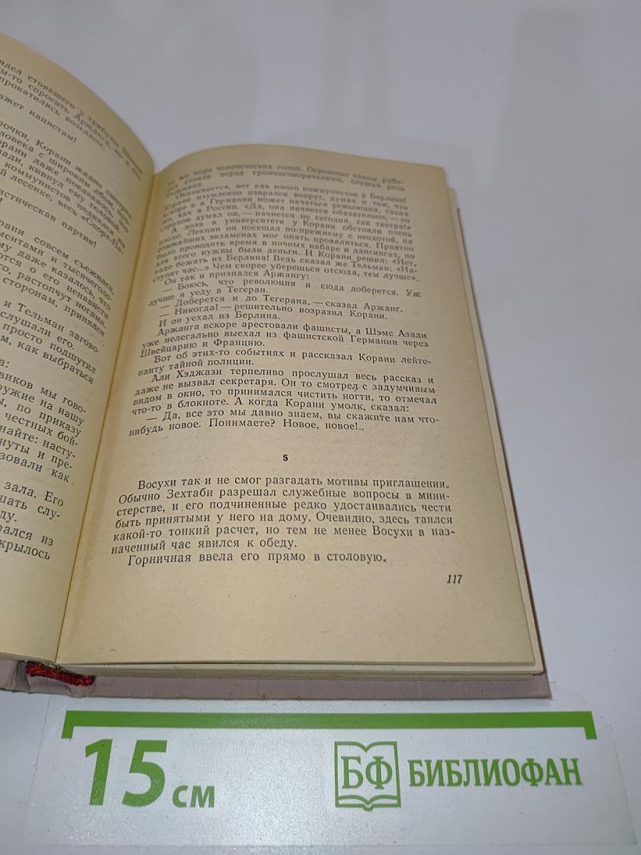 Тегеран. Книга первая. Иранская ночь