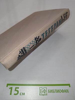 Тегеран. Книга первая. Иранская ночь