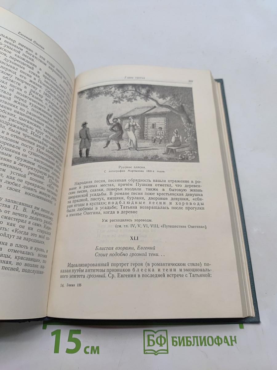 Евгений Онегин. Роман. Пособие для учителей средней школы