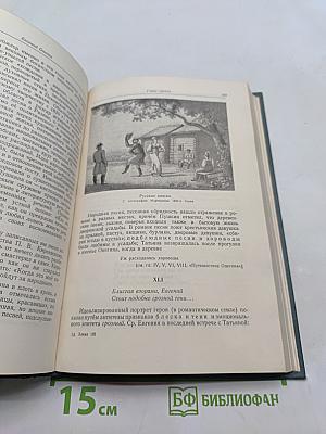 Евгений Онегин. Роман. Пособие для учителей средней школы