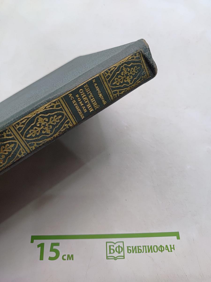Евгений Онегин. Роман. Пособие для учителей средней школы