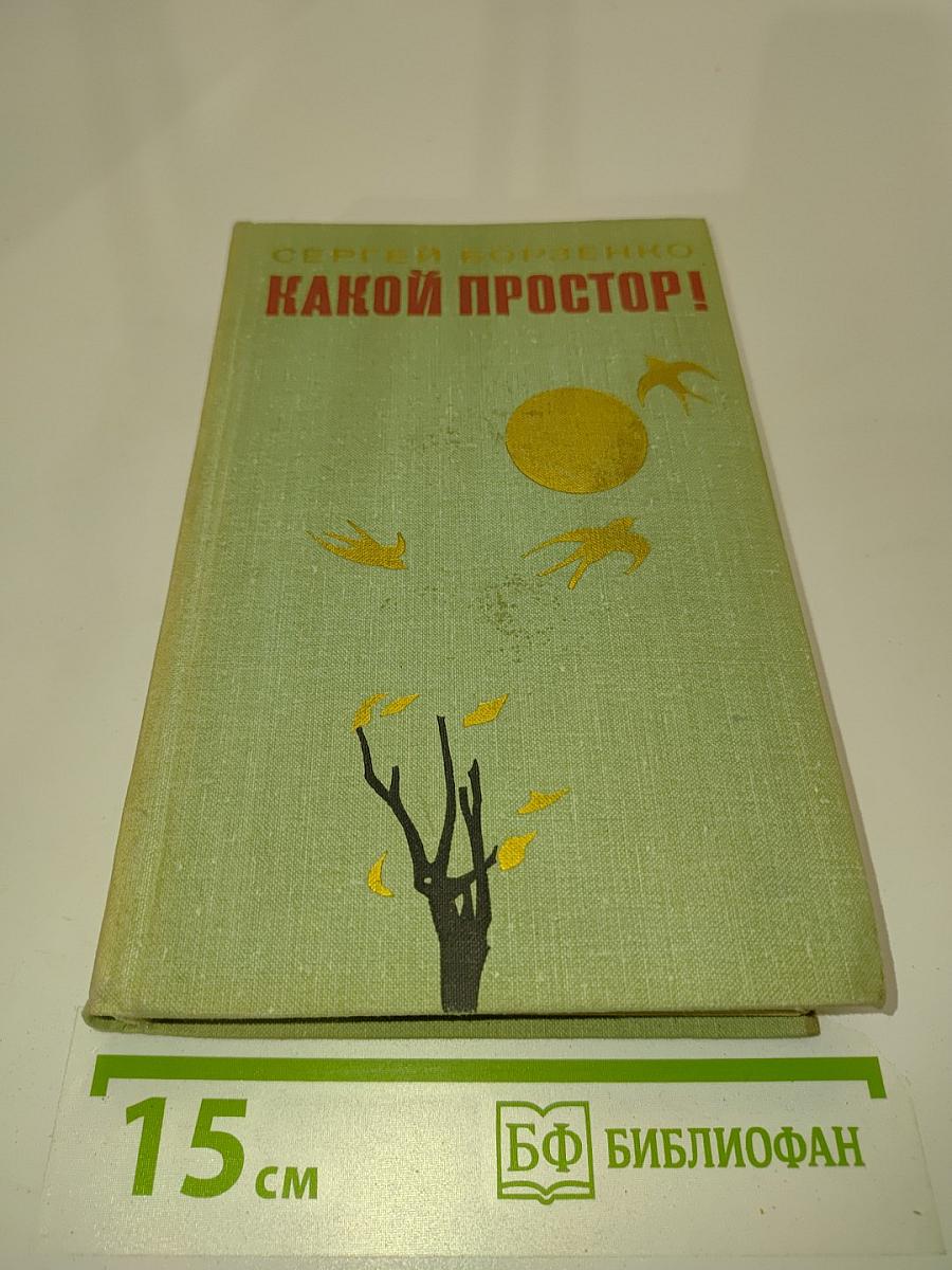 Какой простор! Книга вторая. Бытие