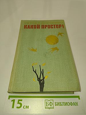 Какой простор! Книга вторая. Бытие
