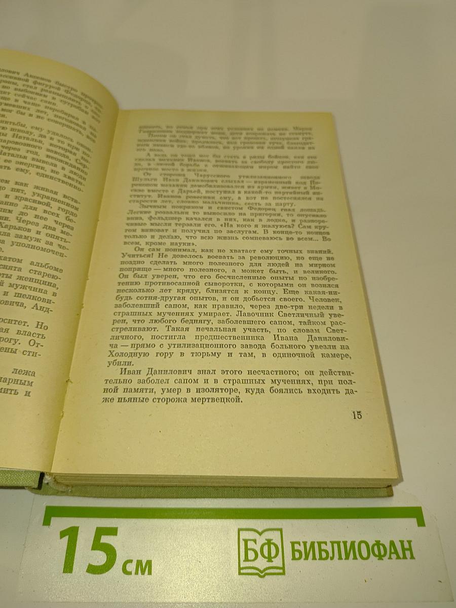 Какой простор! Книга вторая. Бытие