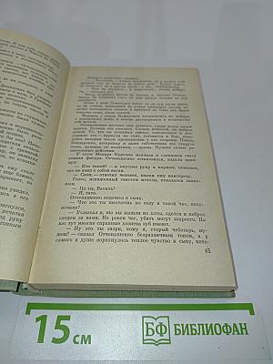 Какой простор! Книга вторая. Бытие