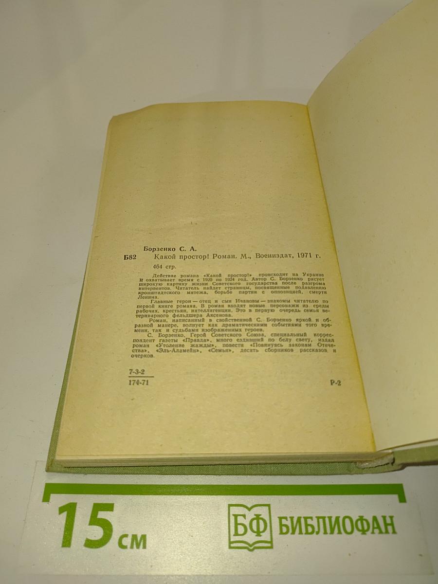 Какой простор! Книга вторая. Бытие