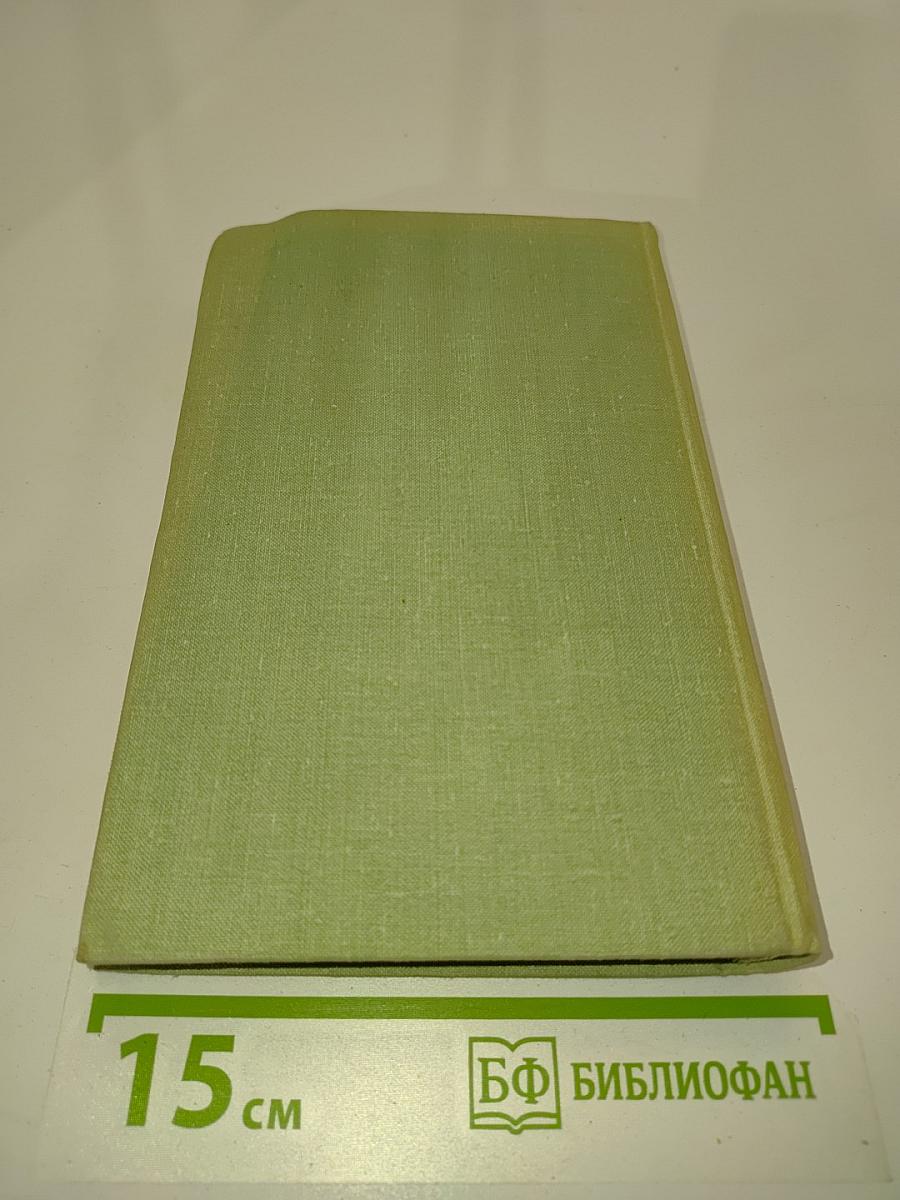 Какой простор! Книга вторая. Бытие