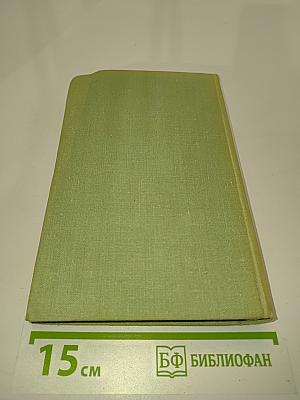 Какой простор! Книга вторая. Бытие