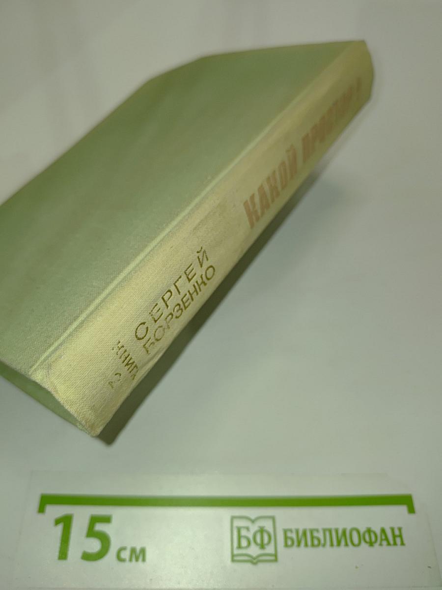 Какой простор! Книга вторая. Бытие