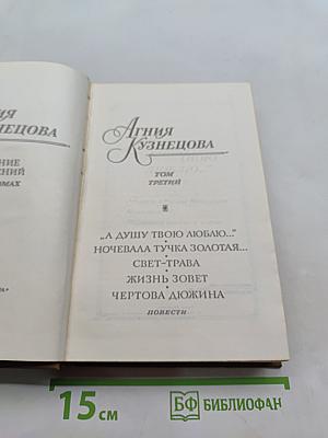 Агния Кузнецова. Том третий. Повести