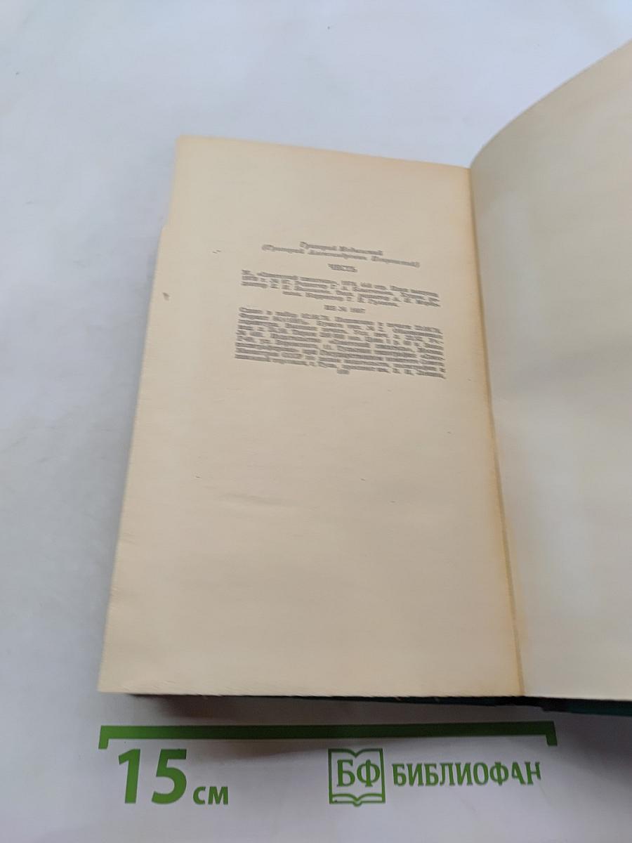 Честь
