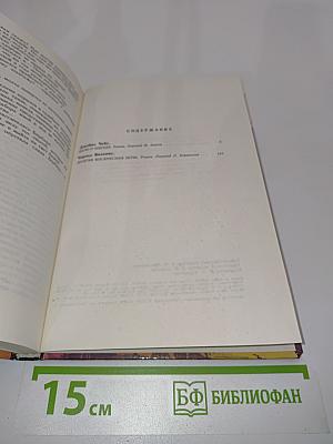 Дело о наезде. Долгая воскресная ночь
