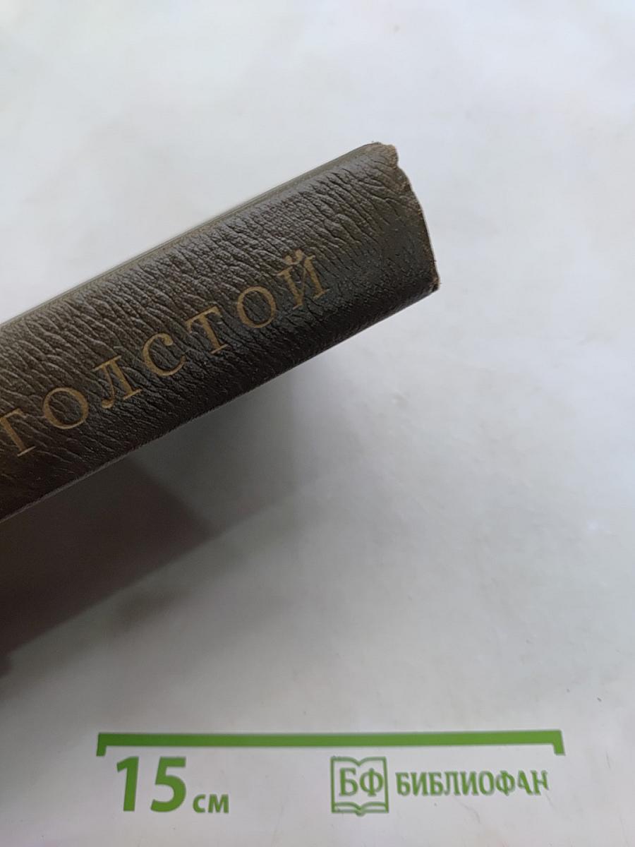 Л.Н. Толстой. Собрание сочинений. Том семнадцатый. Письма 1845-1886 гг.
