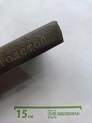 Л.Н. Толстой. Собрание сочинений. Том семнадцатый. Письма 1845-1886 гг.