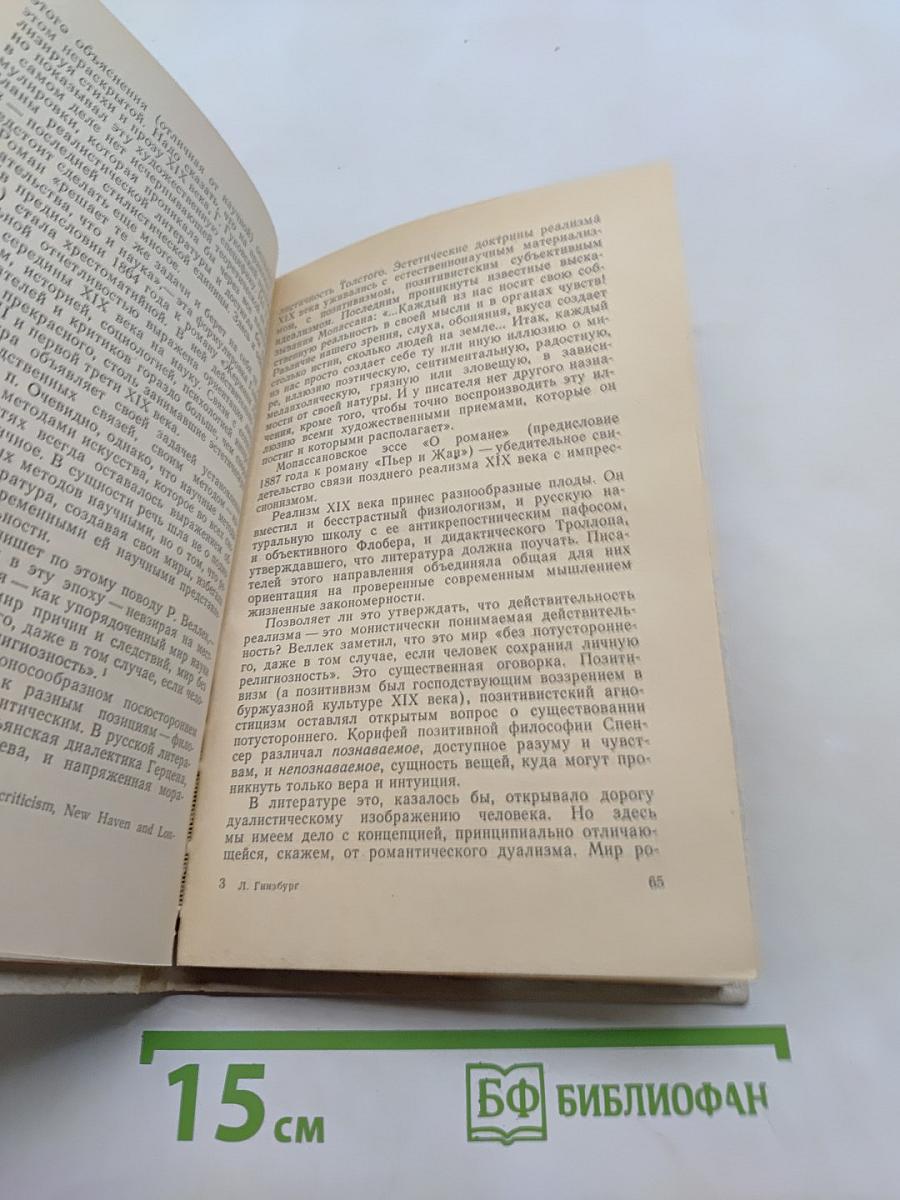 О литературном герое