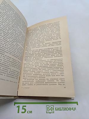 О литературном герое