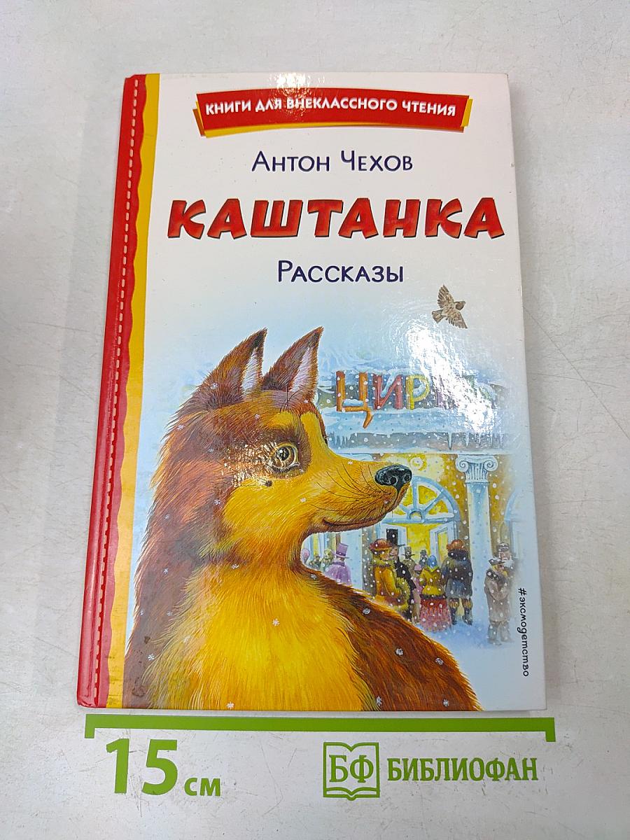 Каштанка. Рассказы (Книги для внеклассного чтения)