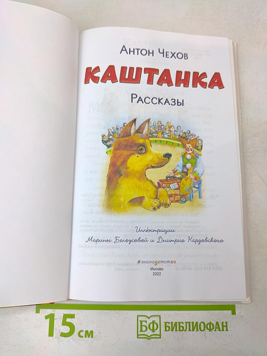 Каштанка. Рассказы (Книги для внеклассного чтения)