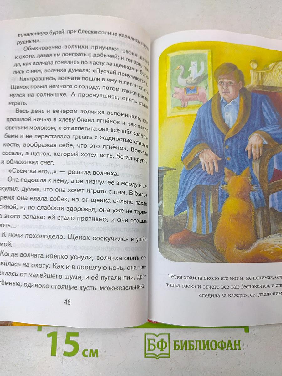Каштанка. Рассказы (Книги для внеклассного чтения)