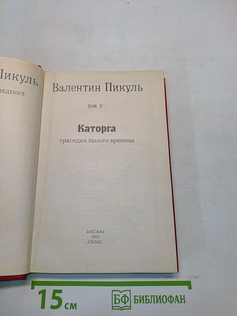 Каторга. Том V. Роман