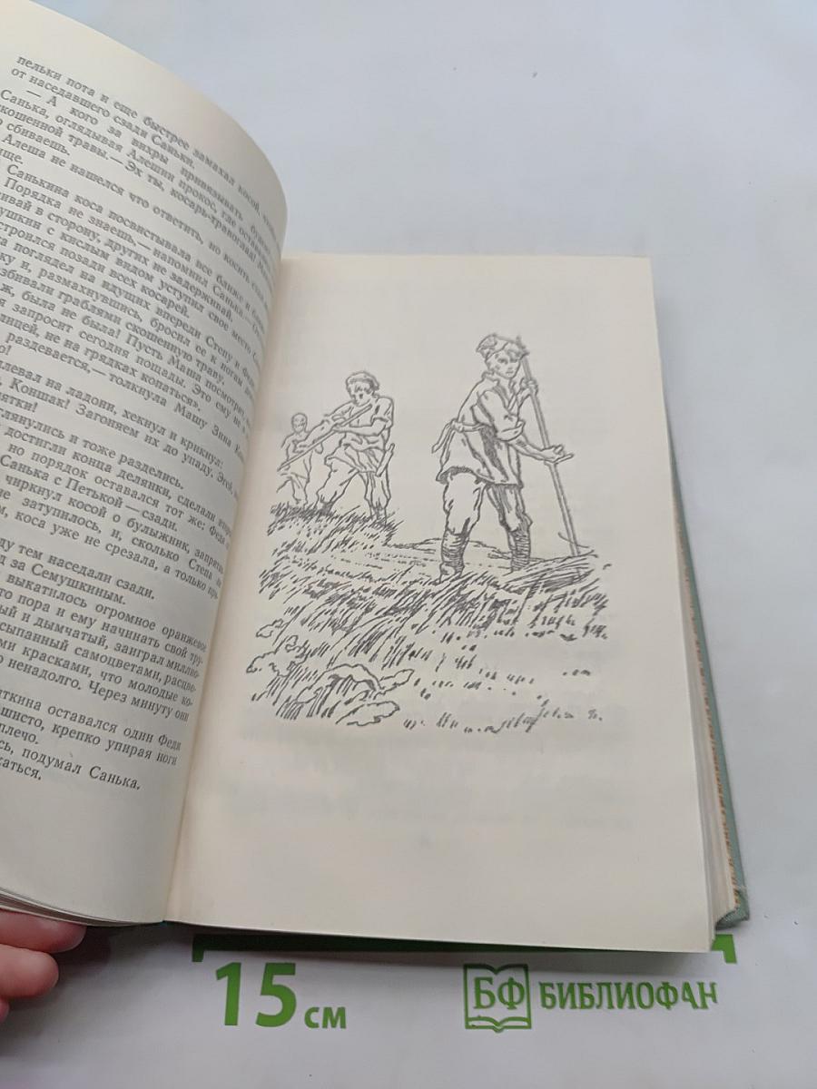 Стожары. Дом на горе. Собрание сочинений в 3-х томах. Том 2