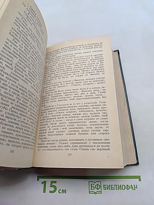 Дыхание грозы. Метели, декабрь