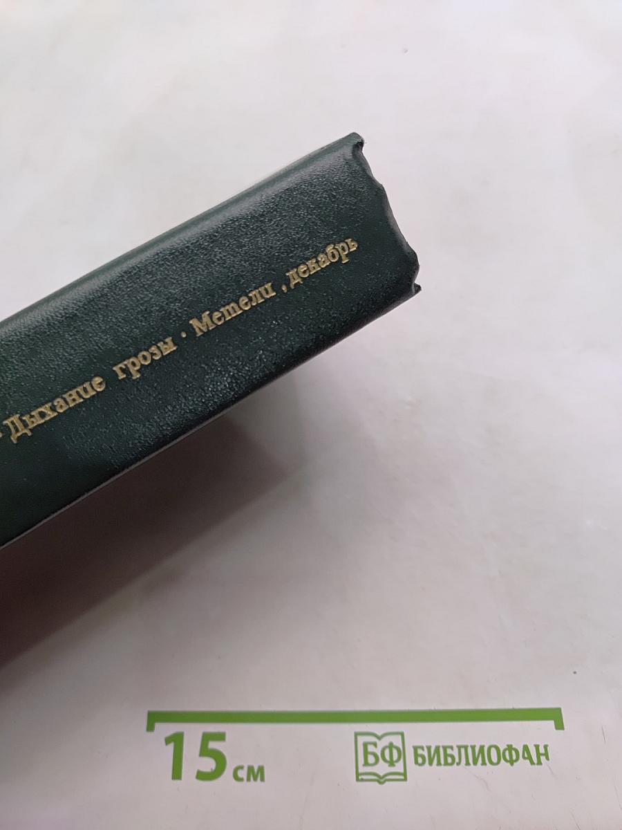 Дыхание грозы. Метели, декабрь