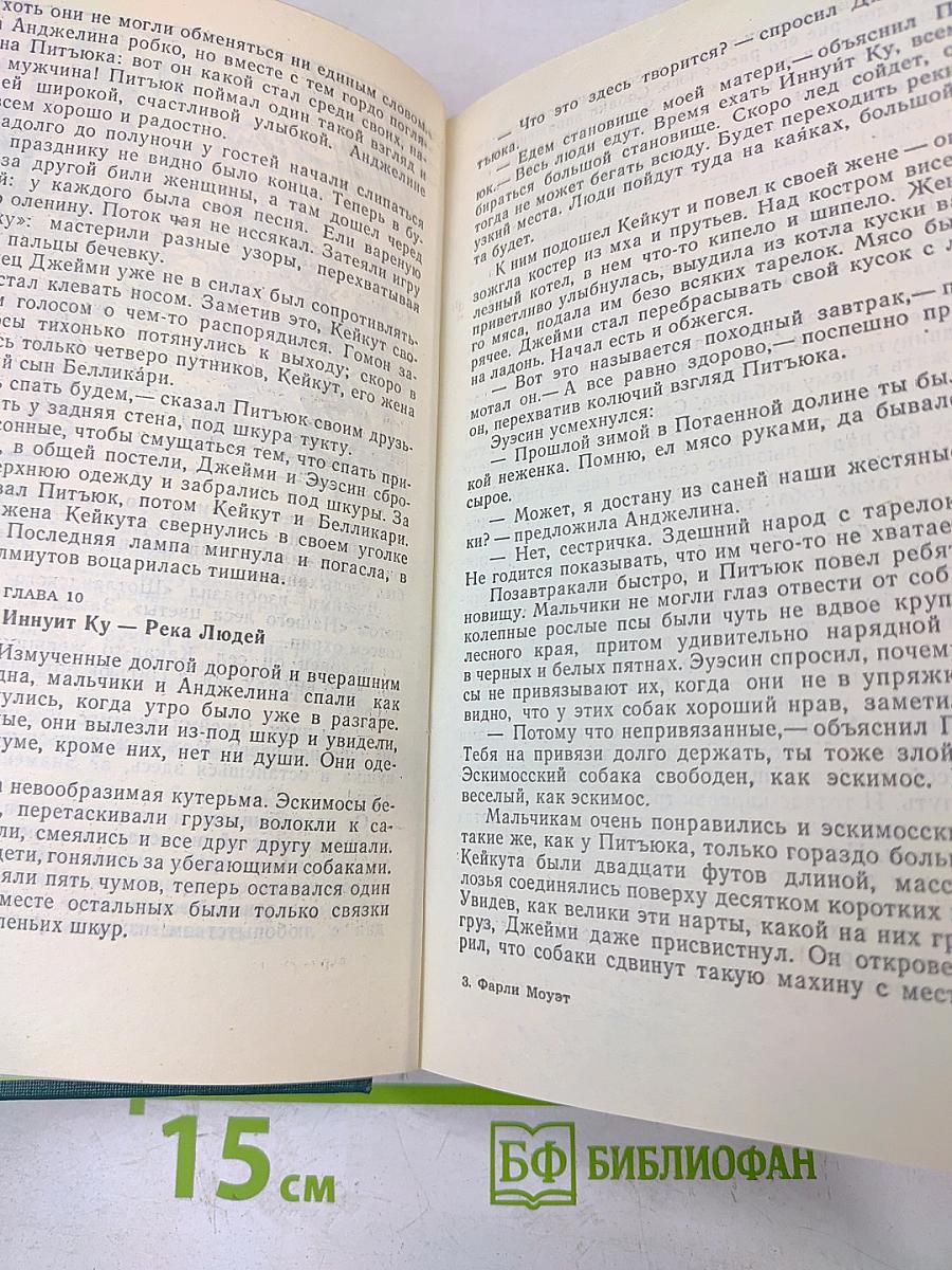 Проклятие могилы викинга