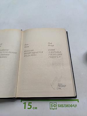 Двойное преступление на линии Мажино. Французский шпионский роман