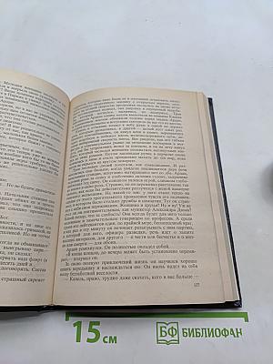 Двойное преступление на линии Мажино. Французский шпионский роман
