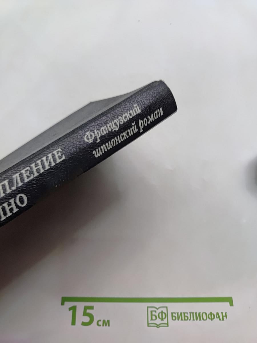 Двойное преступление на линии Мажино. Французский шпионский роман